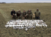 2016 Goose / Duck Hunts